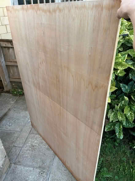 Photo of free 18mm Ply Sheet (BA2 5) #1
