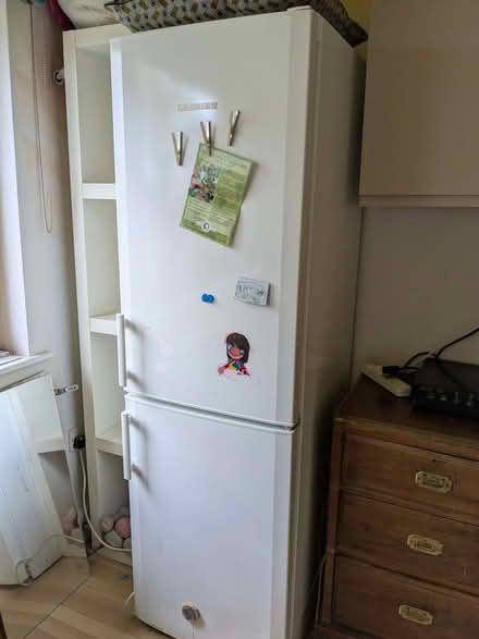 Photo of free Fridge freezer - Liebherr (Brockley SE4) #1