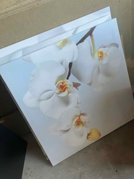 Photo of free 3 flower canvases (Surbiton KT5) #1