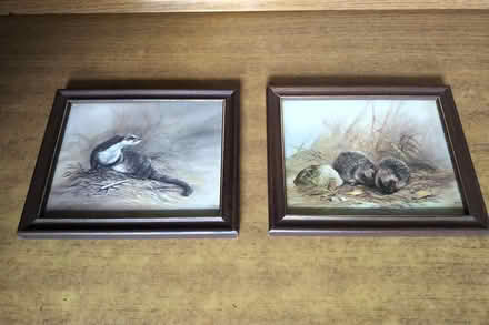 Photo of free Prints (Belper DE56) #2