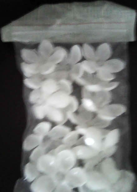 Photo of free White Plastic Flowers (Tondu CF32) #1