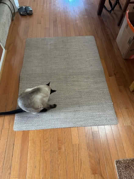 Photo of free Floor mat for desk chair (Fairland/Burtonsville, MD) #1