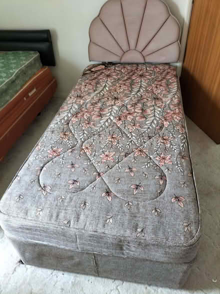 Photo of free Single bed (Holme Hall estate S40) #3