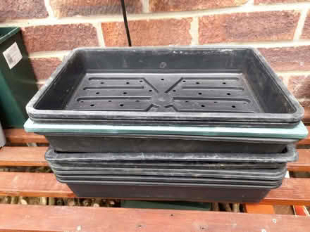 Photo of free Seed trays (Braintree CM7) #1