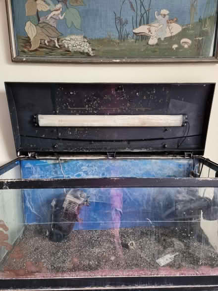 Photo of free Fish tank 80L+- cabinet (Bathford, BA1) #2