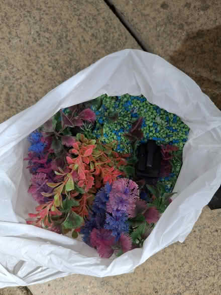 Photo of free Fish tank (Lancaster - Newmarket Avenue) #2