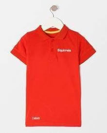 Photo of Squirrels Red Poloshirt, neckerchief, etc. (Shinfield RG2) #1