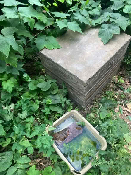 Photo of free Large, heavy, paving slabs (Brixton SW9) #2