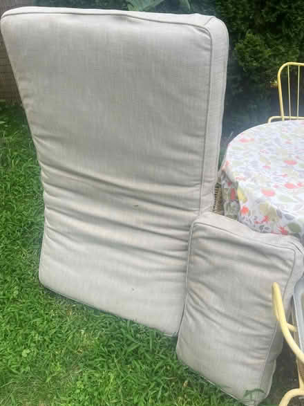 Photo of free Cushions (Ardmore) #2