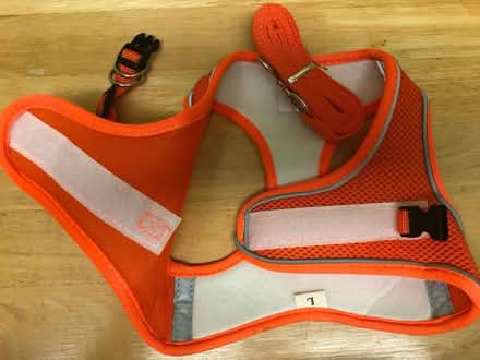 Photo of free Pet harness (Cambridge CB1) #4