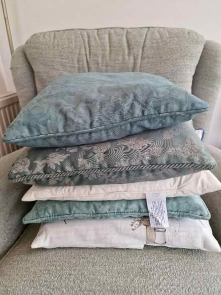 Photo of free Various cushions / fillers (M33 Sale) #2