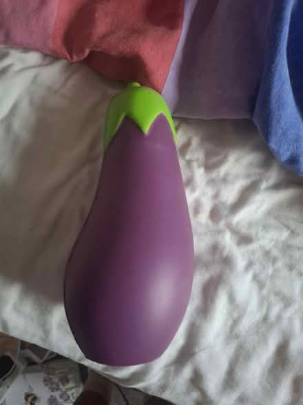 Photo of free Squishy aubergine (Seaside BN22) #1