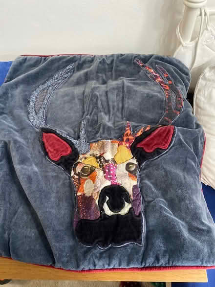 Photo of free Pillow covers (Crosspool S10) #3