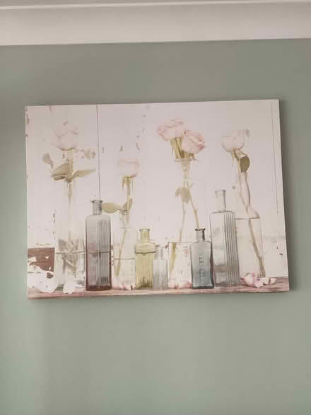 Photo of free Canvas print (Waterloville) #1