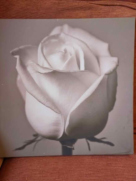 Photo of free Flower Artwork (AB25) #1