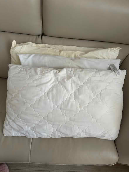 Photo of free Various Pillows (Wandsworth) #1