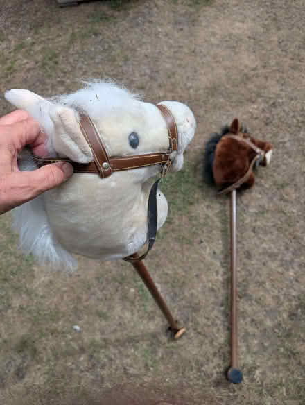 Photo of free Hobby Horse (IP9) #2