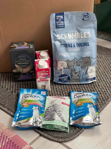 Photo of free Kitten/cat things (Great Maplestead CO9) #3