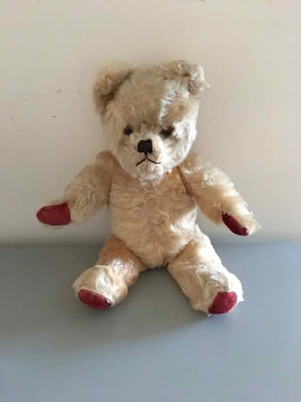 Photo of free Teddy bear (Pittville GL50) #1