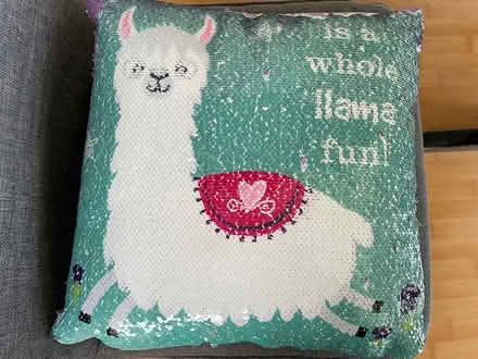 Photo of free Flippy pillow (Sunnyvale (Wolfe)) #2