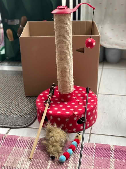 Photo of free Kitten/cat things (Great Maplestead CO9) #2