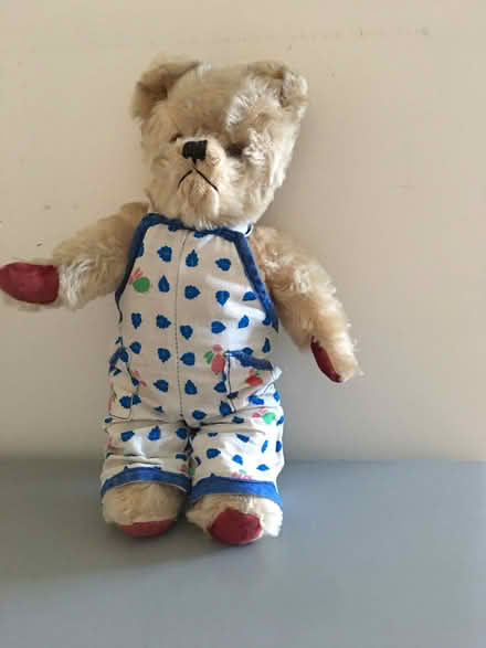 Photo of free Teddy bear (Pittville GL50) #3