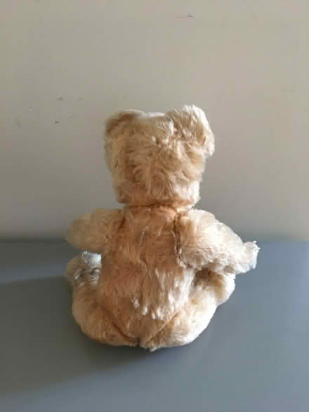Photo of free Teddy bear (Pittville GL50) #2
