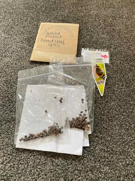 Photo of free Lupins/poppy and rocket seeds (Plumpton CA11) #1