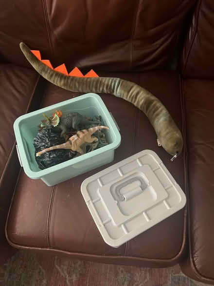Photo of free Small carry box of dinosaurs (Great Gidding) #1