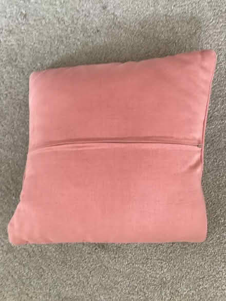 Photo of free Cushion (Waterloville) #2