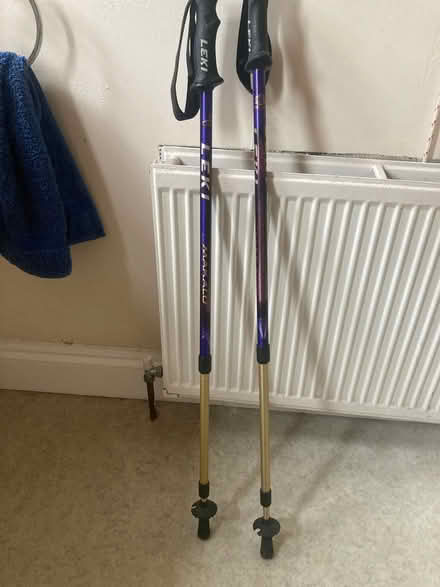 Photo of free Leki walking poles (Bear Flat) #1