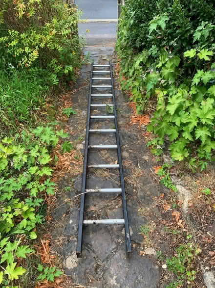 Photo of free 12 step ladder (Old Headington OX3) #1