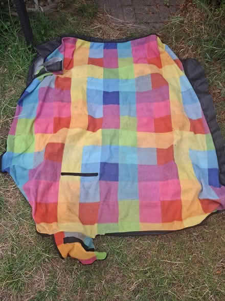 Photo of free Picnic blanket (Beckenham near Clock House) #1