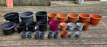 Photo of free Plant and flower pots (Twickenham TW1) #1
