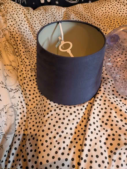 Photo of free lamp shade (Wybourn S2) #1