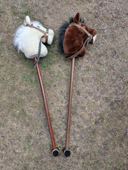 Photo of free Hobby Horse (IP9) #1