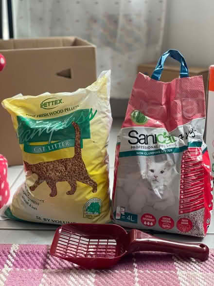 Photo of free Kitten/cat things (Great Maplestead CO9) #1