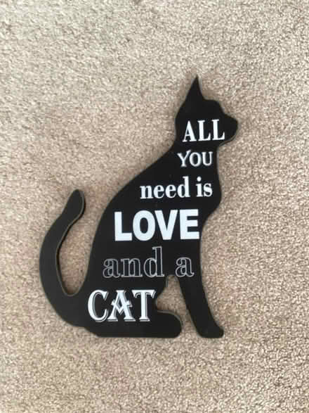 Photo of free Cat picture (Waterloville) #1