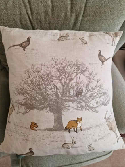 Photo of free Various cushions / fillers (M33 Sale) #1
