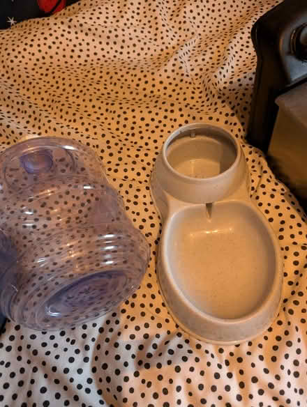 Photo of free dog watering bowl (Wybourn S2) #1