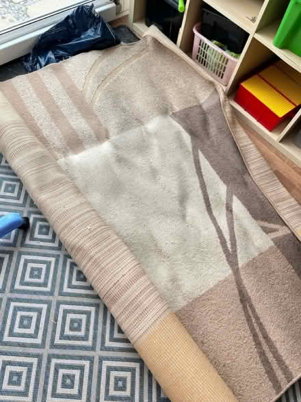 Photo of free Large Rug Brown & beige (Abingdon OX14) #2