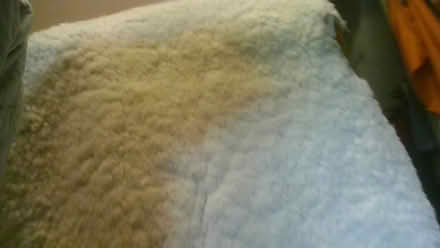 Photo of free Full wool fleece (BA2) #2