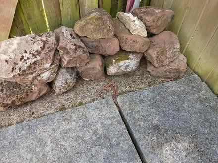 Photo of free Rockery stones (Hoole Village CH2) #2