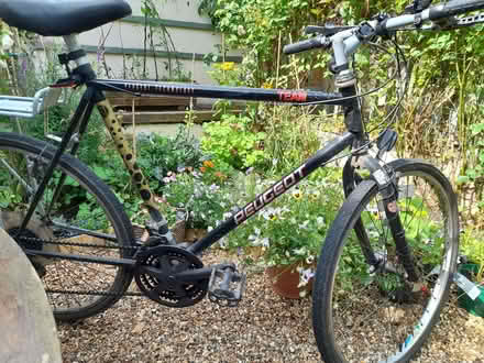 Photo of free Men's Peugeot bike (Penrith CA11) #1