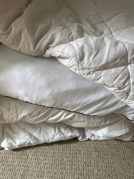 Photo of free Pillows out of shape (GL3) #1