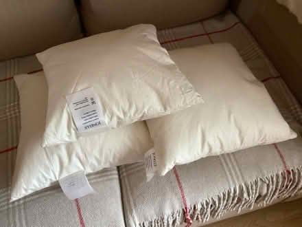 Photo of free Feather cushion pads (Barnet, Stirling Corner WD6) #1