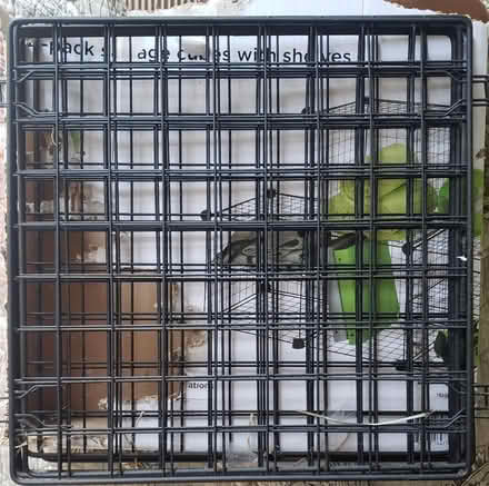 Photo of free A few more guinea pigs cage walls (Kirkwood) #1