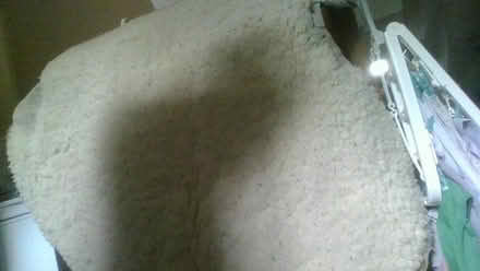 Photo of free Full wool fleece (BA2) #4