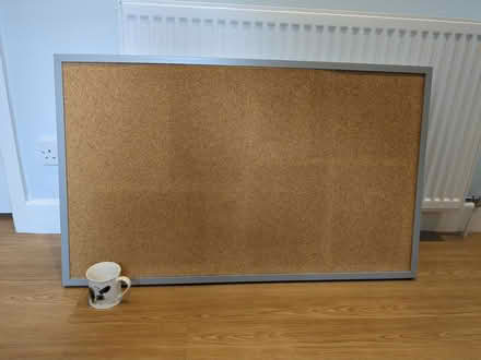Photo of free Large cork notice board and pins (Newbridge BA1) #1
