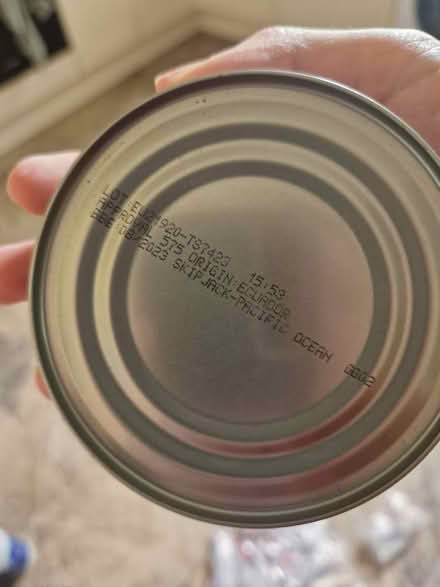 Photo of free 3x tuna, out of date (Boughton ME13) #2